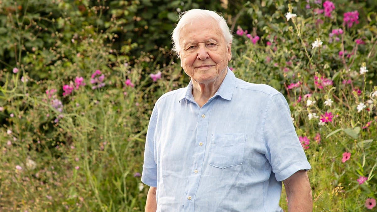 david attenborough