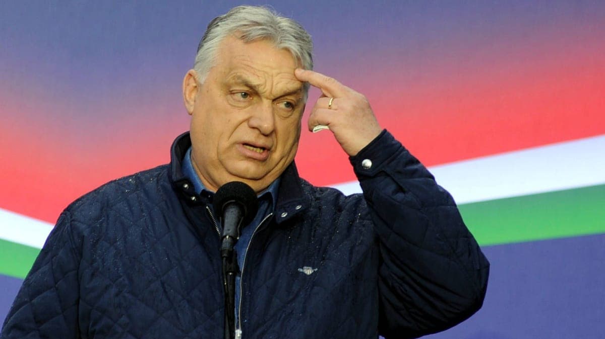 ungarn wahlen umfragen