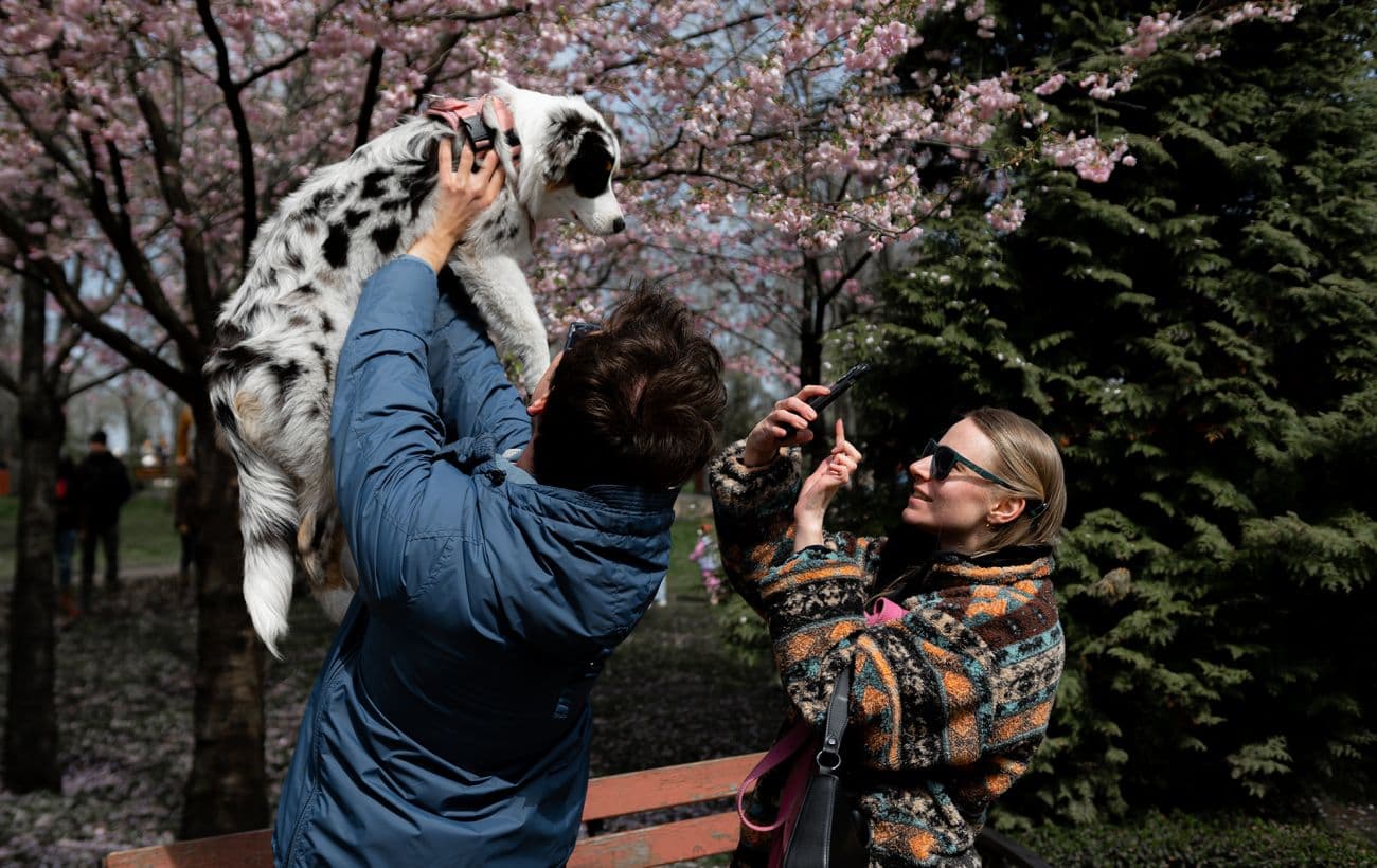 синоптик харьков